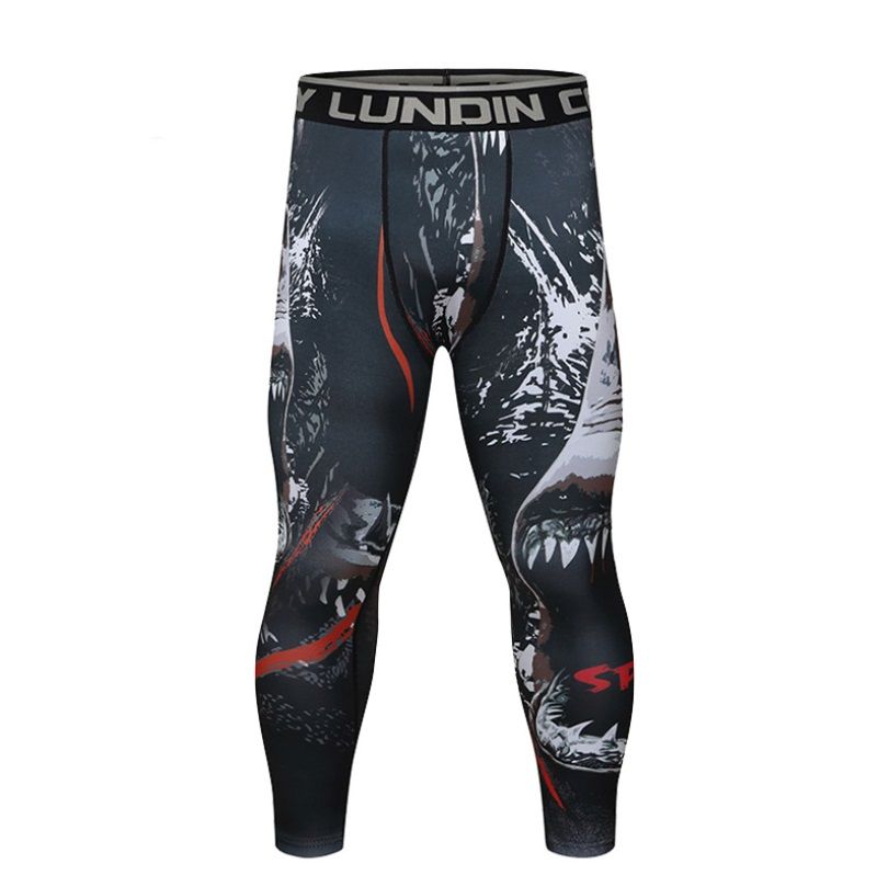 

Тайтсы CODY LUNDIN Shark CL6936 (р. L), Черный;серый, CL