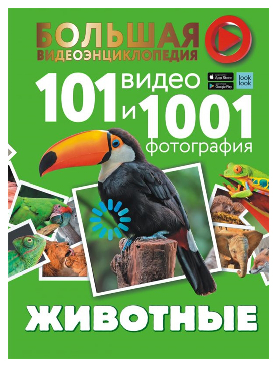 

Животные. 101 видео и 1001 фотография