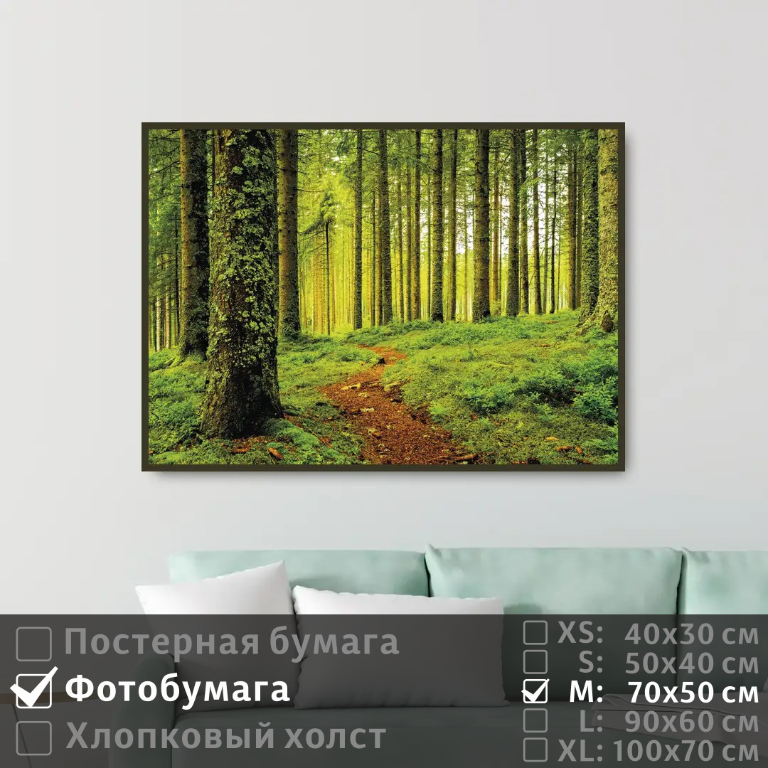 

Постер на фотобумаге ПолиЦентр Тропа в хвойной роще 70х50 см, ТропаВХвойнойРоще