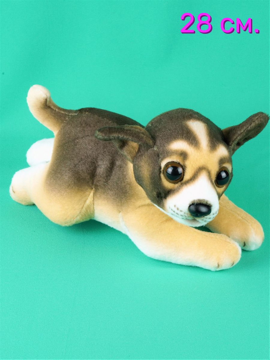 Мягкая игрушка АКИМБО КИТ собака Чихуахуа 25 см
