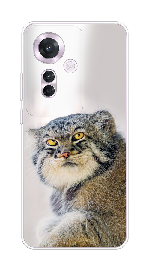 

Чехол на Oppo Reno 11F "Кот манул 1", Серый;белый;желтый, 2516650-1