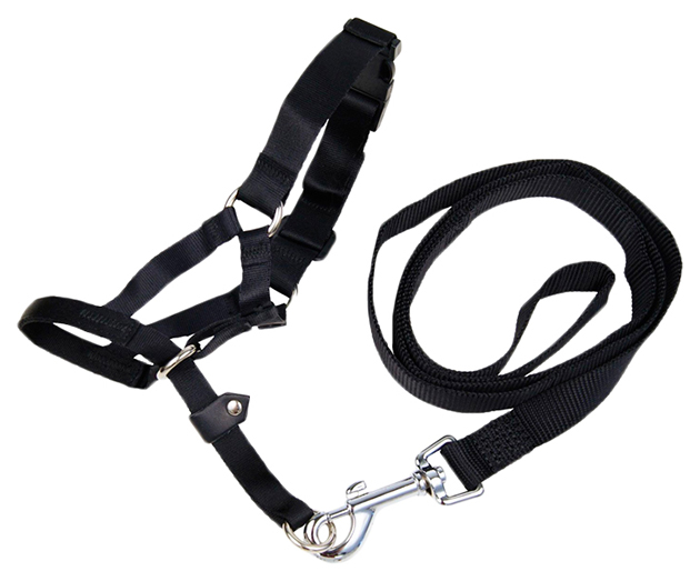 

Недоуздок, намордник для дрессуры Gloria Pets с поводком, M, 590592