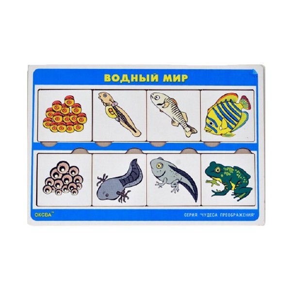

Игра Оксва Чудеса преображения. Водный мир