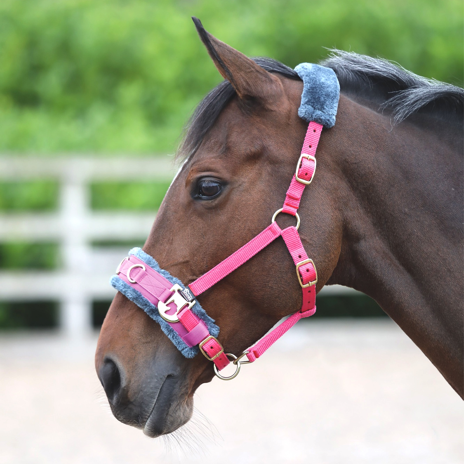 SHIRES SHIRES Кавессон для лошади, PONY, розовый (Великобритания)