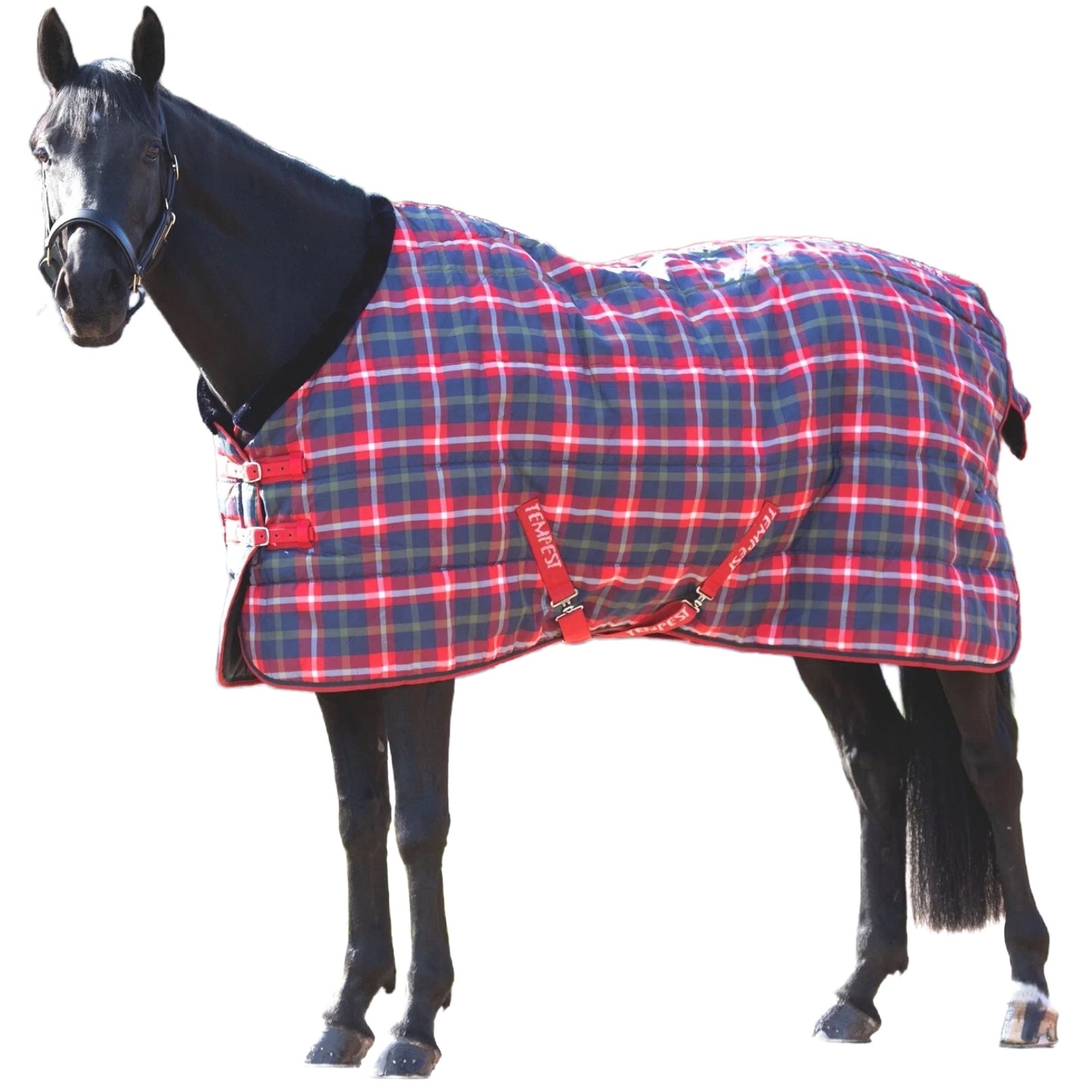 

SHIRES SHIRES TEMPEST Попона денниковая для лошади Plus, 1200D, 200g, 135, красная клетка, Красный;синий;белый, Tempest