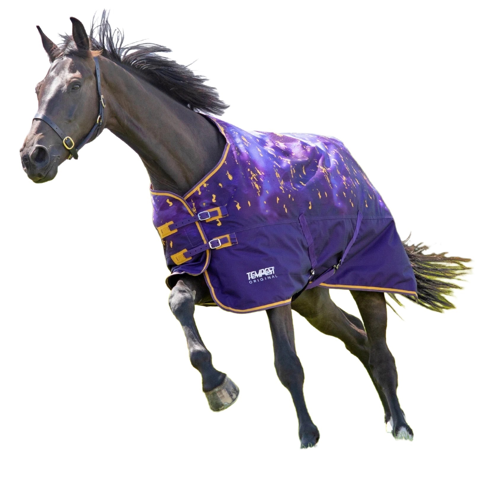 

SHIRES SHIRES TEMPEST Попона прогулочная для лошади Original Lite, 600D, 0g, 130, аметист, Синий;желтый, Tempest
