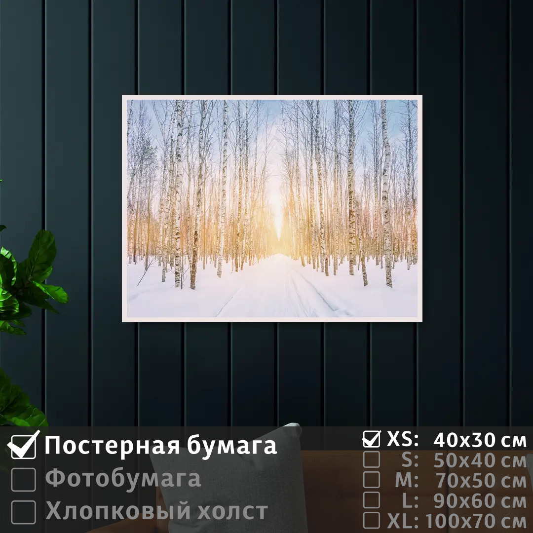 

Постер на стену ПолиЦентр Лучи солнца в зимнем лесу 40х30 см, ЛучиСолнцаВЗимнемЛесу