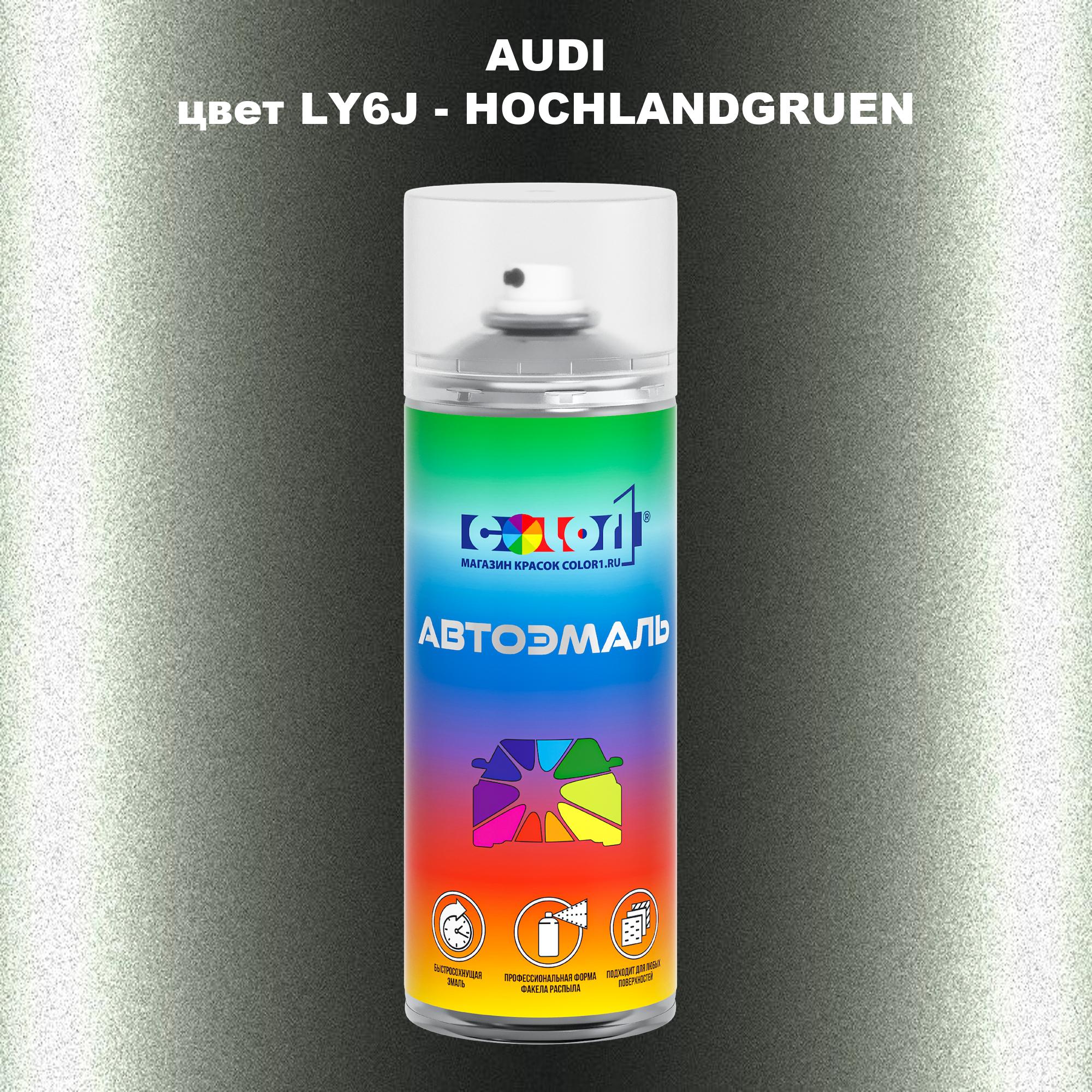 

Аэрозольная краска AUDI, цвет LY6J - HOCHLANDGRUEN, Прозрачный