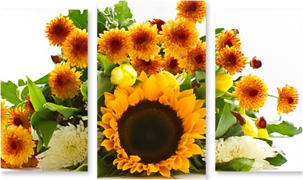 

Картина модульная на холсте Модулка Солнечный букет 90x58 см, 1750