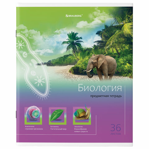 

Тетрадь предметная BRAUBERG "ЯРКАЯ", БИОЛОГИЯ, клетка, 404227
