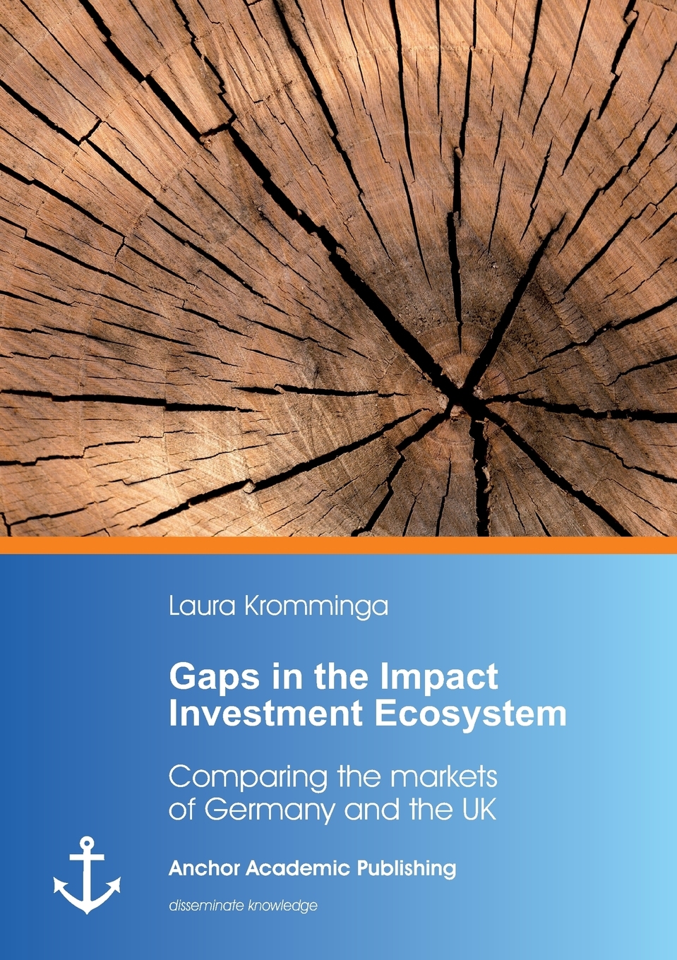 

Gaps in the Impact Investment Ecosystem