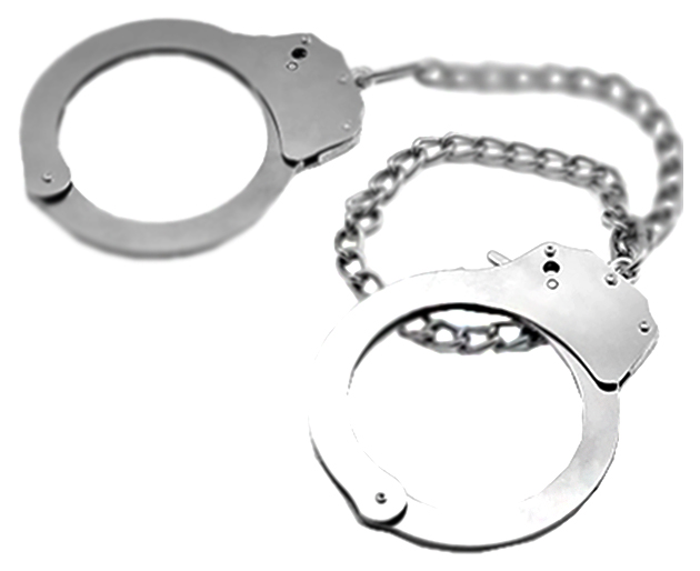 Lovetoy Поножи FETISH PLEASURE METAL LEG CUFFS