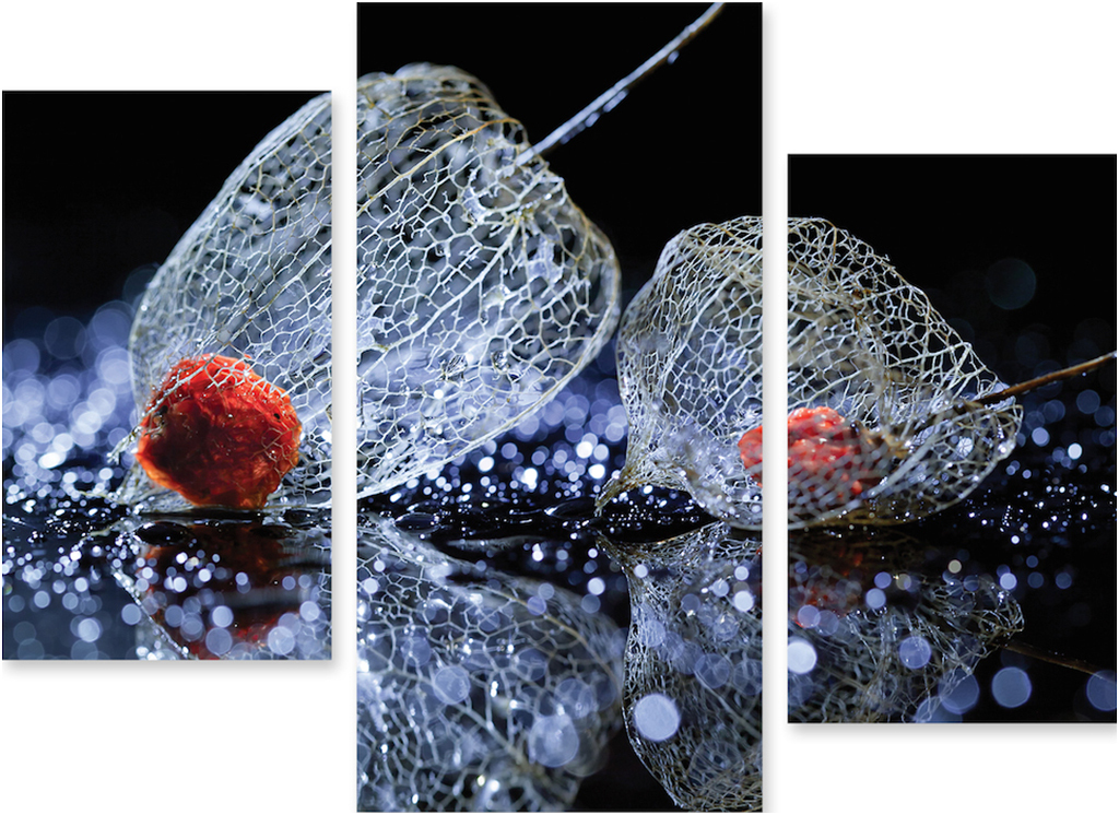 

Картина модульная на холсте Модулка Цветок 120x91 см, 186