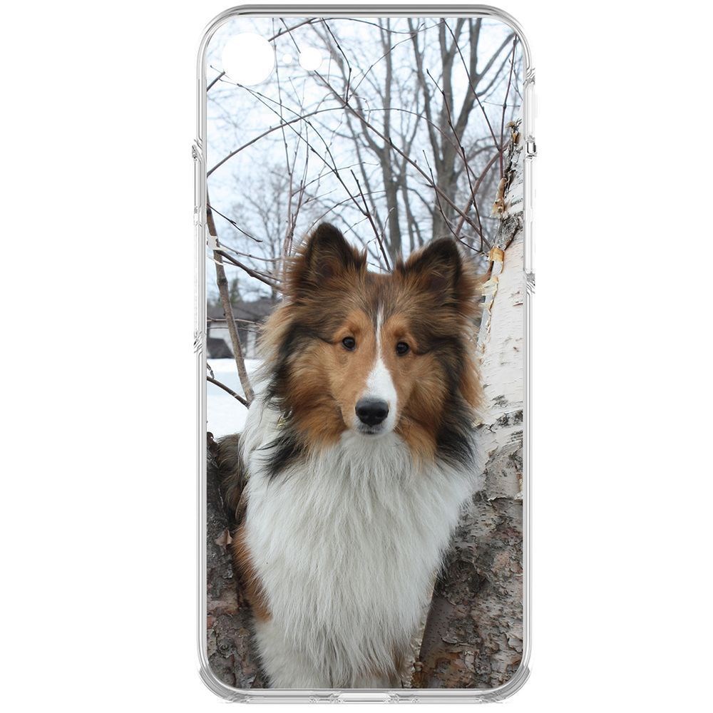 

Чехол-накладка Krutoff Clear Case Шелти для iPhone 7/8/SE 2020 с защитой камеры, Прозрачный
