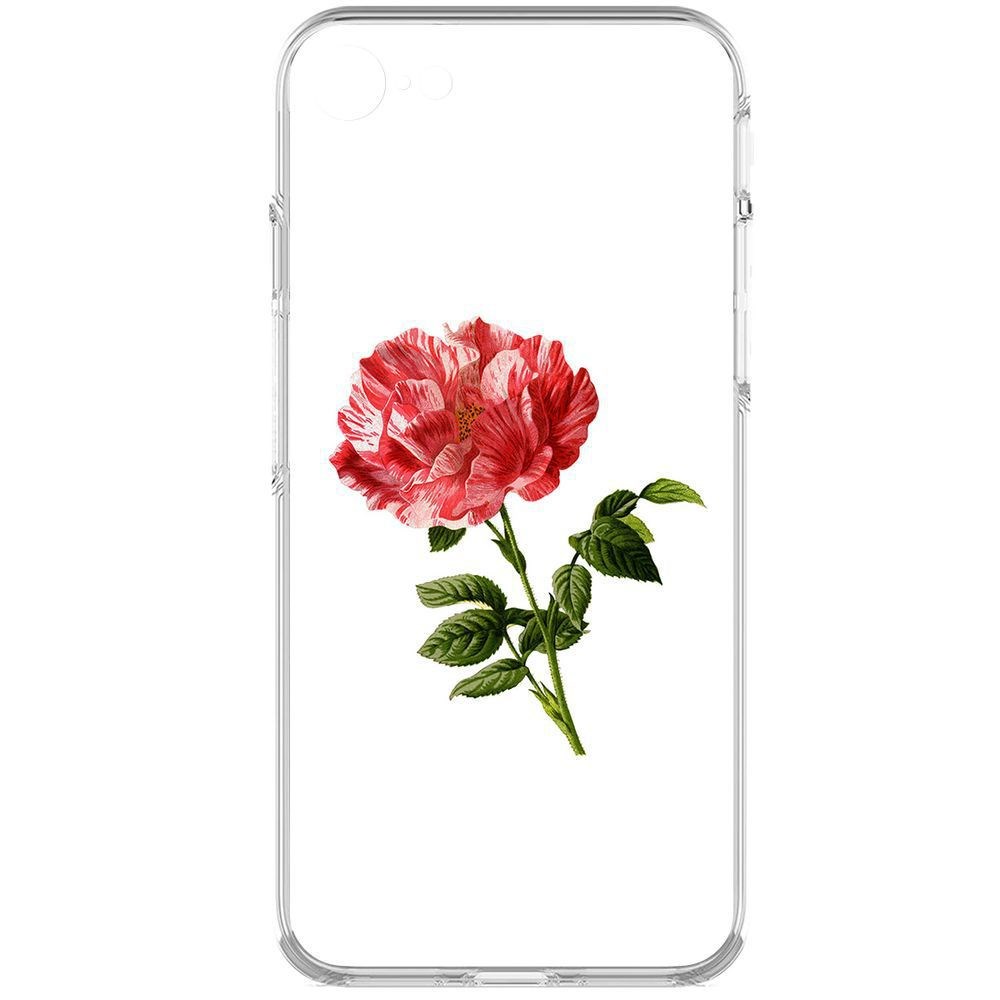 

Чехол-накладка Krutoff Clear Case Рисованная роза для iPhone 7/8/SE 2020 с защитой камеры, Прозрачный