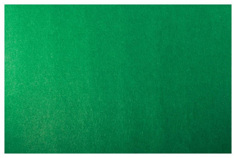 Коврик-субстрат Repti-Zoo 06EC, зеленый, 287x292 мм