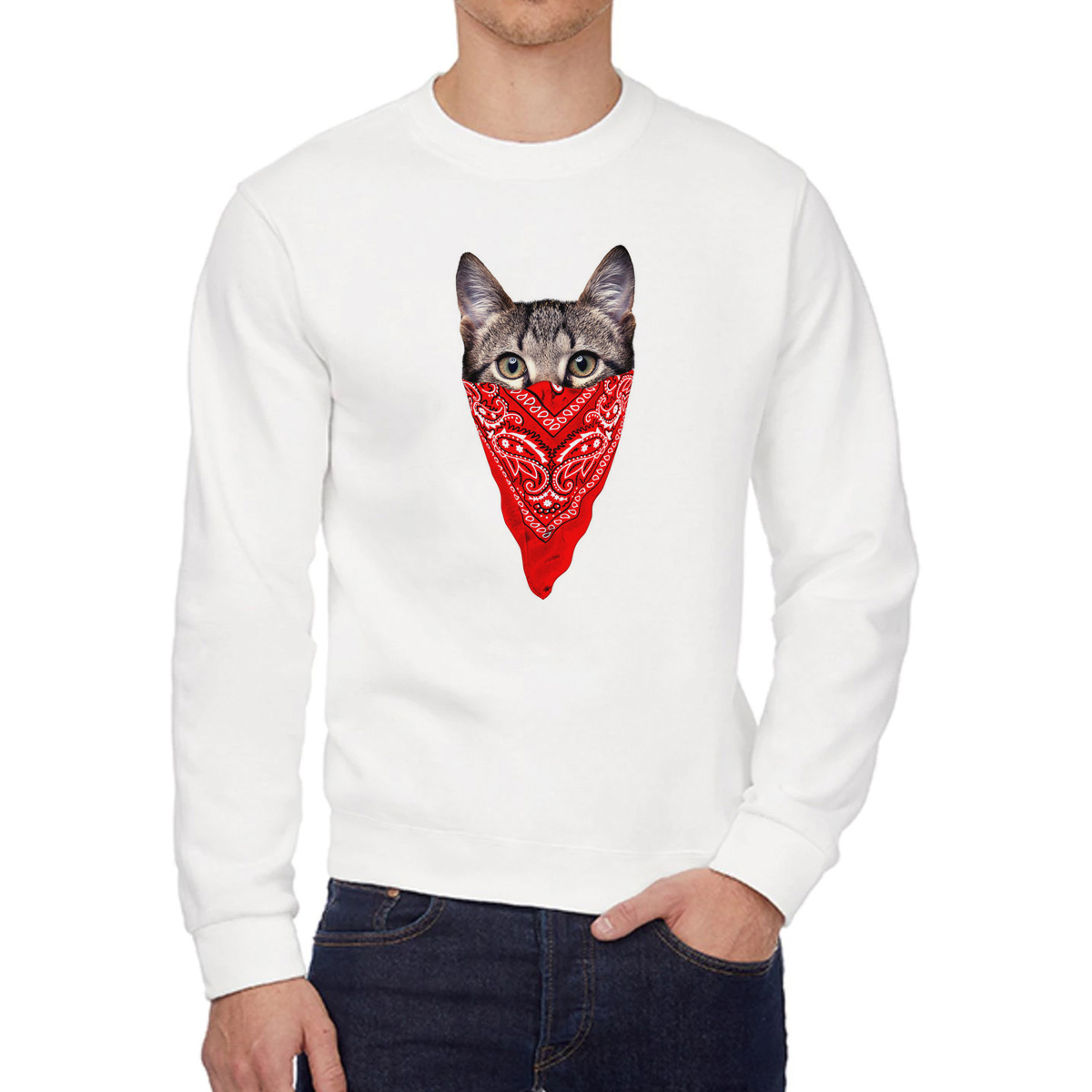 

Свитшот женский CoolPodarok Кот в платке белый 58 RU, 8W015779