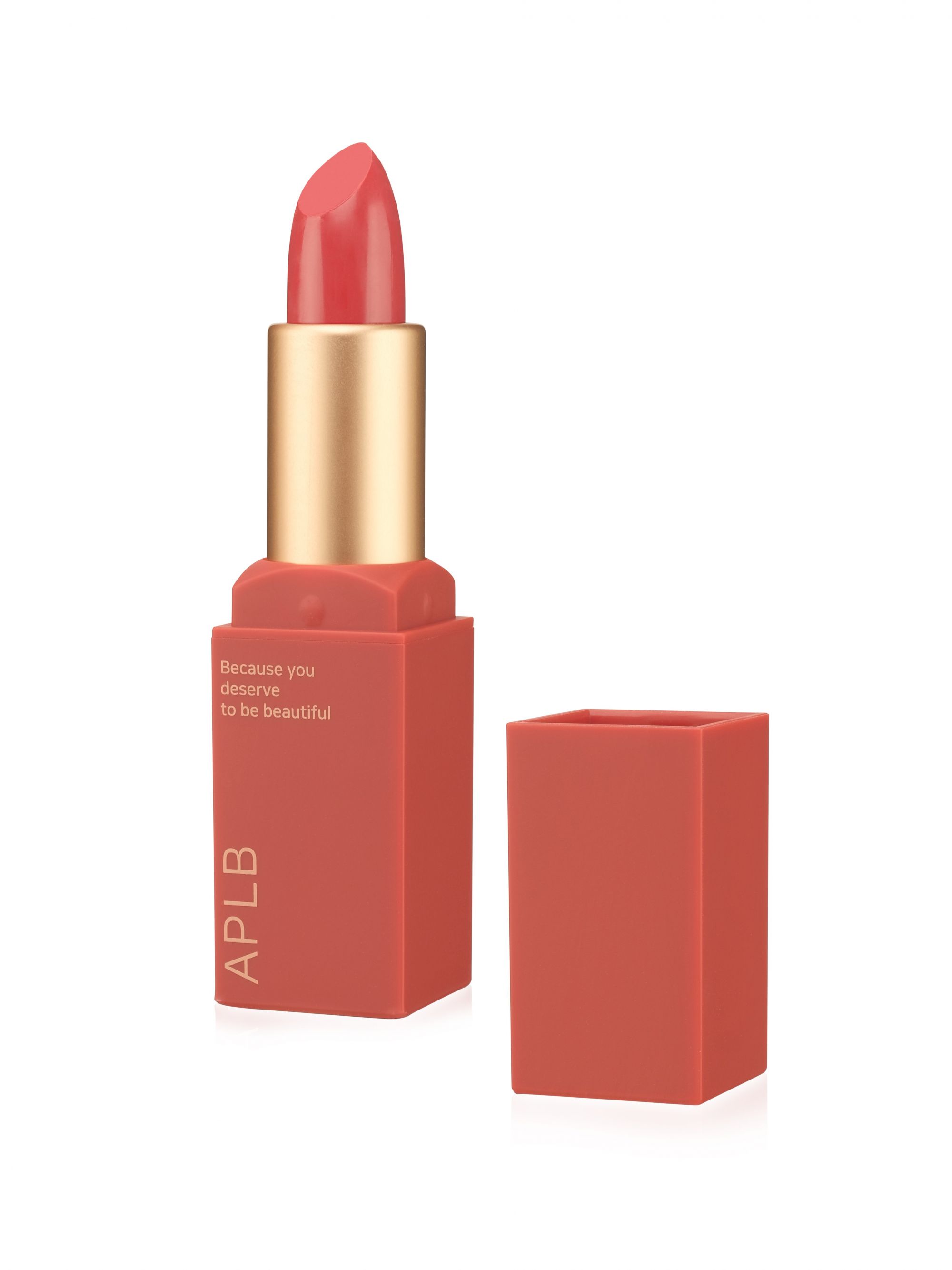 Помада для губ APLB, матовая PROFESSIONAL VELVET LIPSTICK : 06 BURNEY