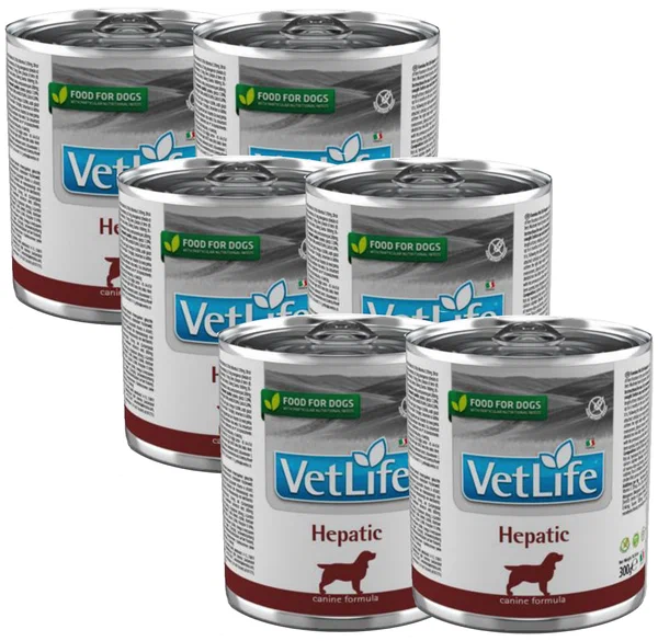 Консервы для собак Farmina Vet Life Hepatic, при болезнях печени, курица, 6шт по 300г