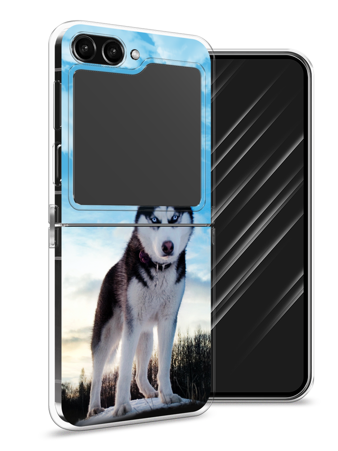 

Чехол Awog на Samsung Galaxy Z Flip 5 "Хаски 3", Белый;черный;голубой, 2108350-2