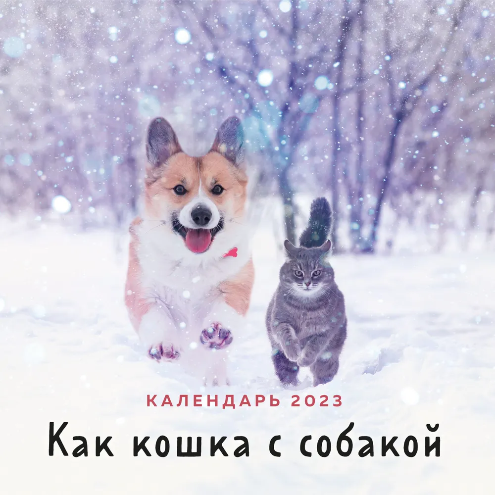 

Календарь настенный на 2023 год Как кошка с собакой 300х300 мм