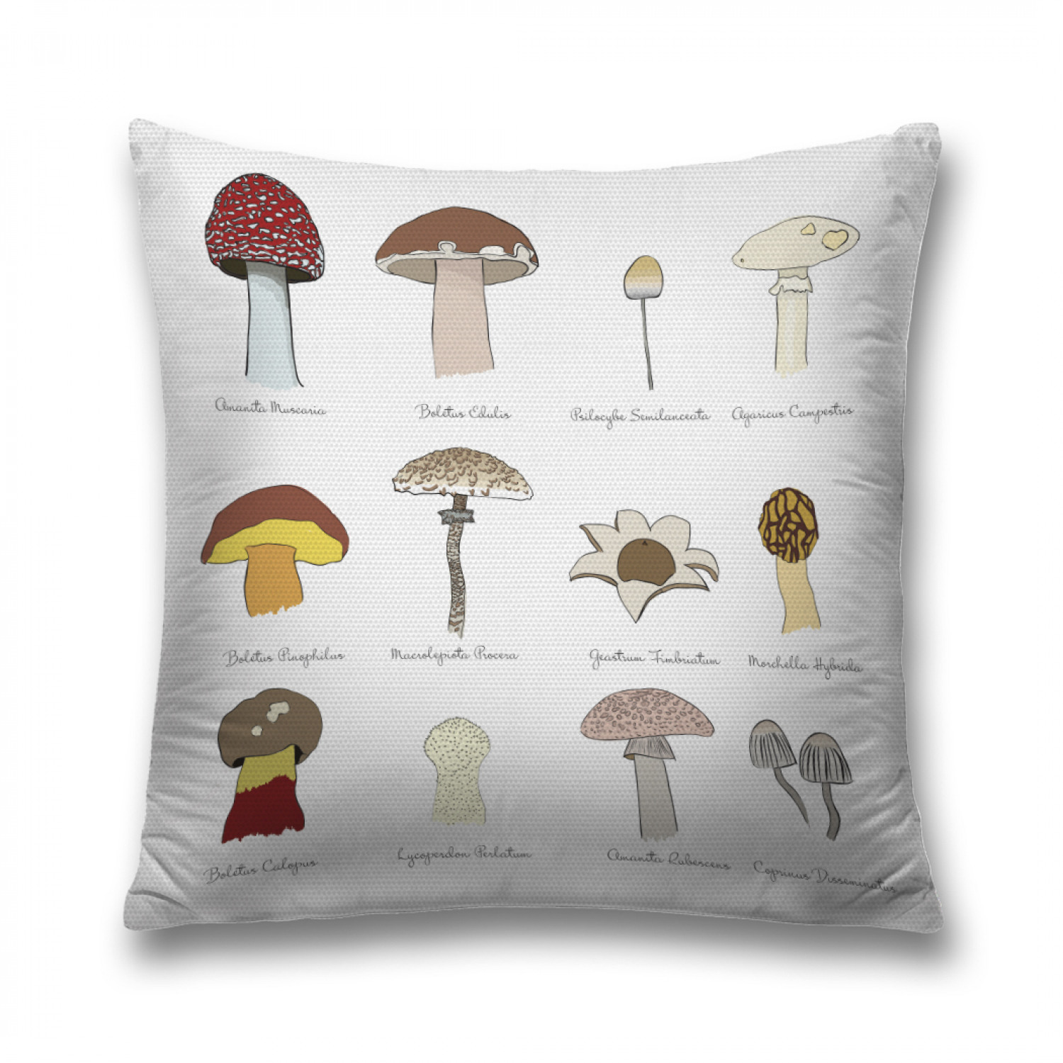 

Наволочка декоративная JoyArty "Разнообразие грибов" на молнии, 45x45 см, Белый, Разнообразие грибов