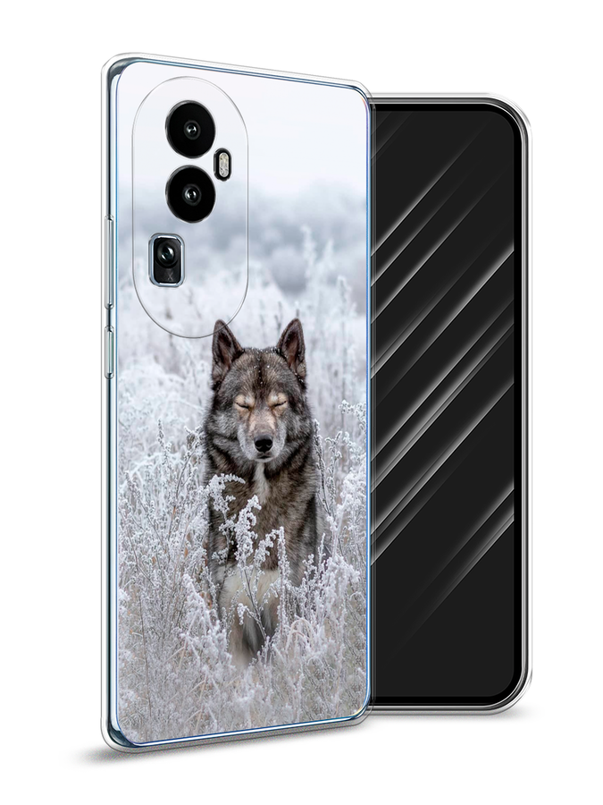 

Чехол Awog на Oppo Reno 10 "Волк в поле", Белый;черный, 2514550-1