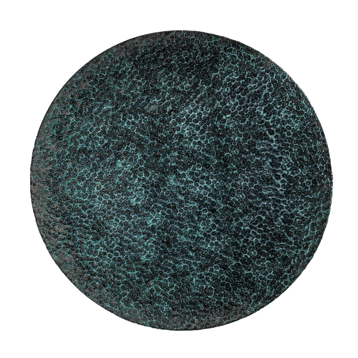 

Тарелка обеденная Moss, d=27 см, Синий