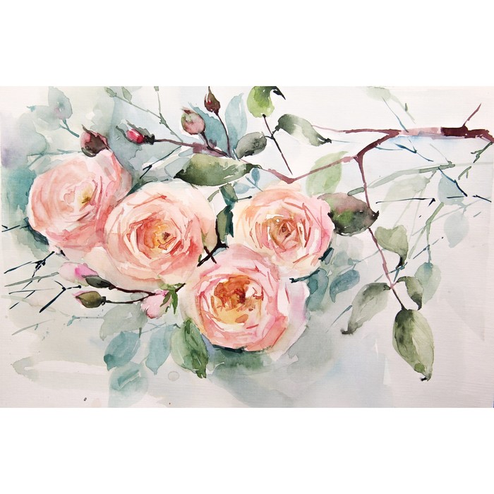 

Картины на подрамнике Акварель. Ветка розы 40x50 см