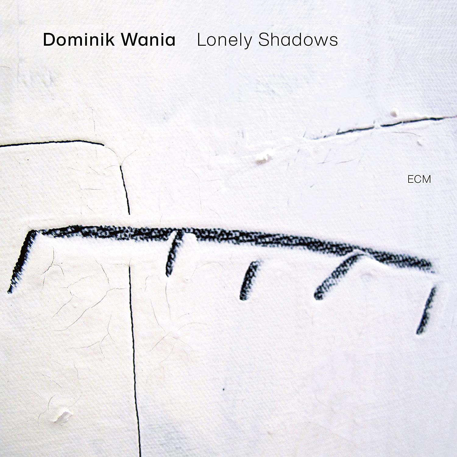 

Dominik Wania Lonely Shadows