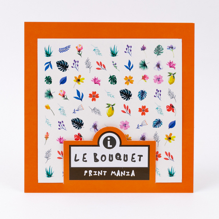 

Слайдер-дизайн Lianail Print Mania Le Bouquet №2, Разноцветный