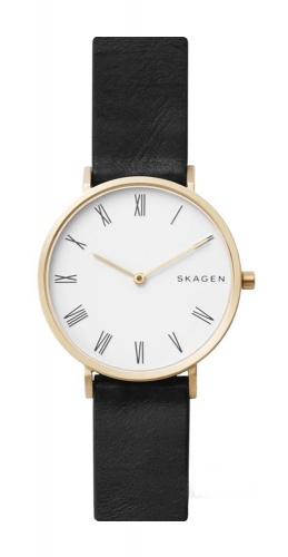 фото Наручные часы женские skagen skw2678