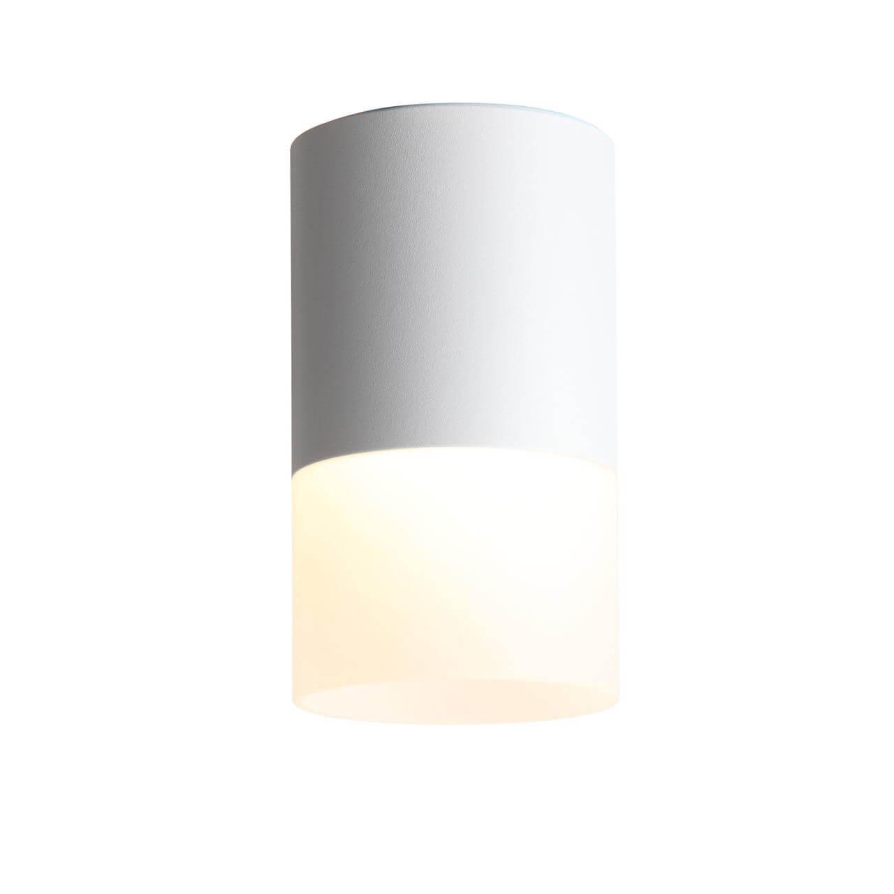 

Потолочный светодиодный светильник ST Luce Ottu ST100.502.10
