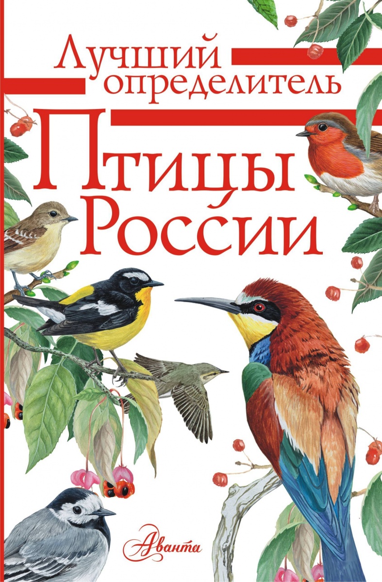 фото Книга птицы россии аст