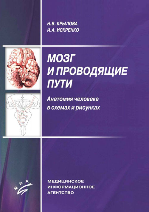 фото Книга мозг и проводящие пути. анатомия человека в схемах и рисунках миа (медицинское информационное агентство)