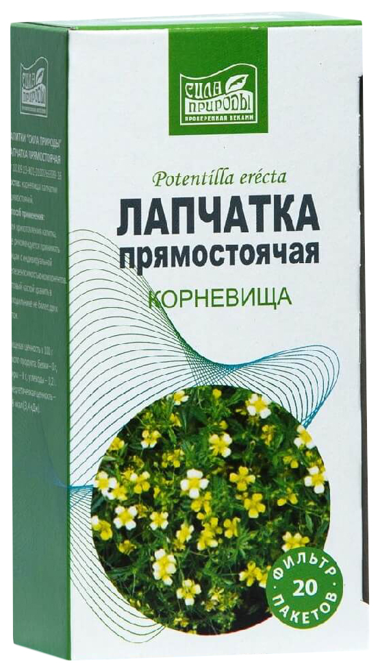 Лапчатка препараты. Лапчатки корневища (potentillae rhizomata). Лапчатка белая прямостоячая. Корневища лапчатки прямостоячей. Лапчатки белой корневища, 30 г.