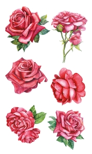 НАКЛЕЙКИ ДЕКОРАТИВНЫЕ ВИНИЛОВЫЕ Divino Sticky Красные розы
