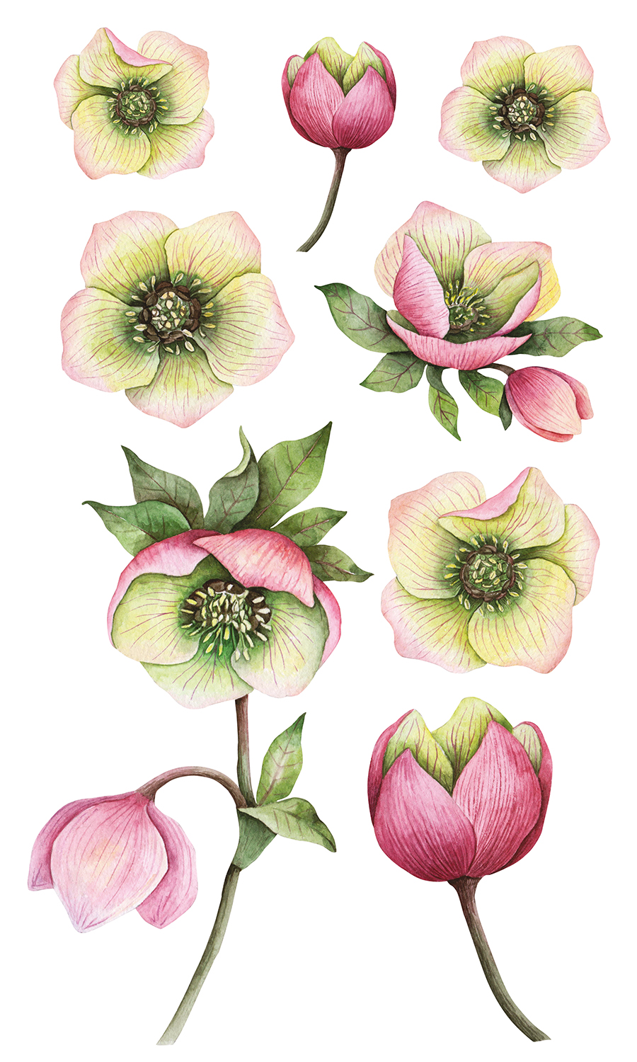 НАКЛЕЙКИ ДЕКОРАТИВНЫЕ ВИНИЛОВЫЕ Divino Sticky Розовые цветы