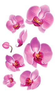 НАКЛЕЙКИ ДЕКОРАТИВНЫЕ ВИНИЛОВЫЕ Divino Sticky Розовые орхидеи