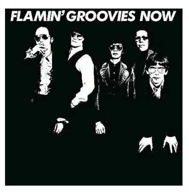 Flamin' Groovies Flamin Groovies – Now White LP