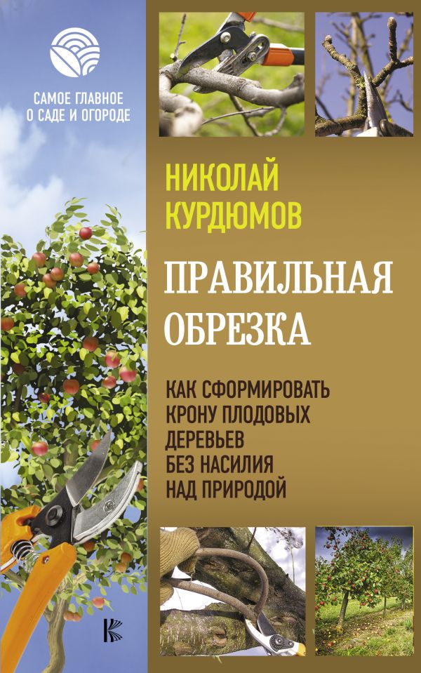 

Правильная обрезка. Как сформировать крону плодовых деревьев без насилия над природой