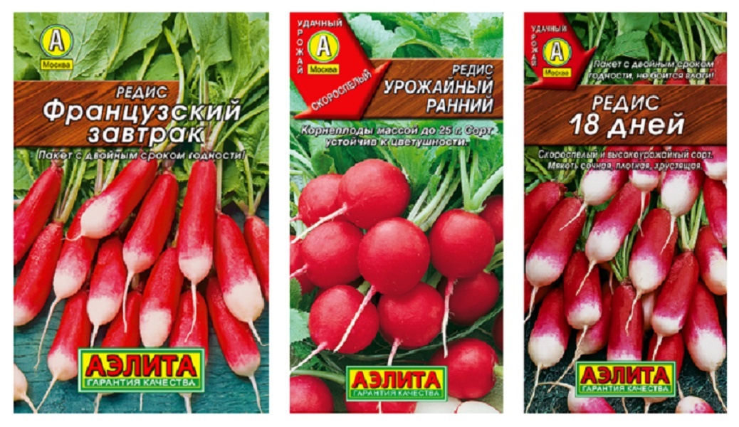 

Семена редис Аэлита 18 дней, урожайный ранний, французский завтрак 93692 3 уп., редис
