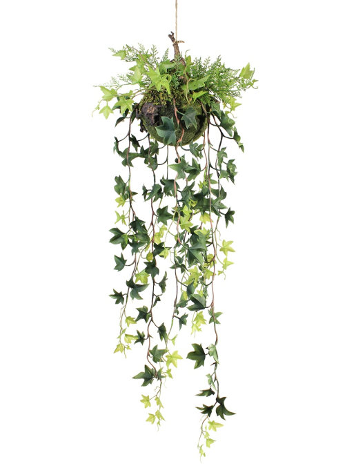 фото Искусственное растение английский плющ и папоротник gerard de ros