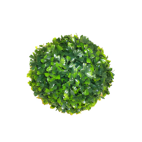 фото Шар из искусственной травы/ декоративный шар/ зелёный шар/шар растительный, 18 см. buyhouse