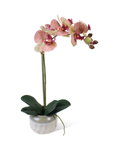 фото Искусственные цветы орхидея gerard de ros