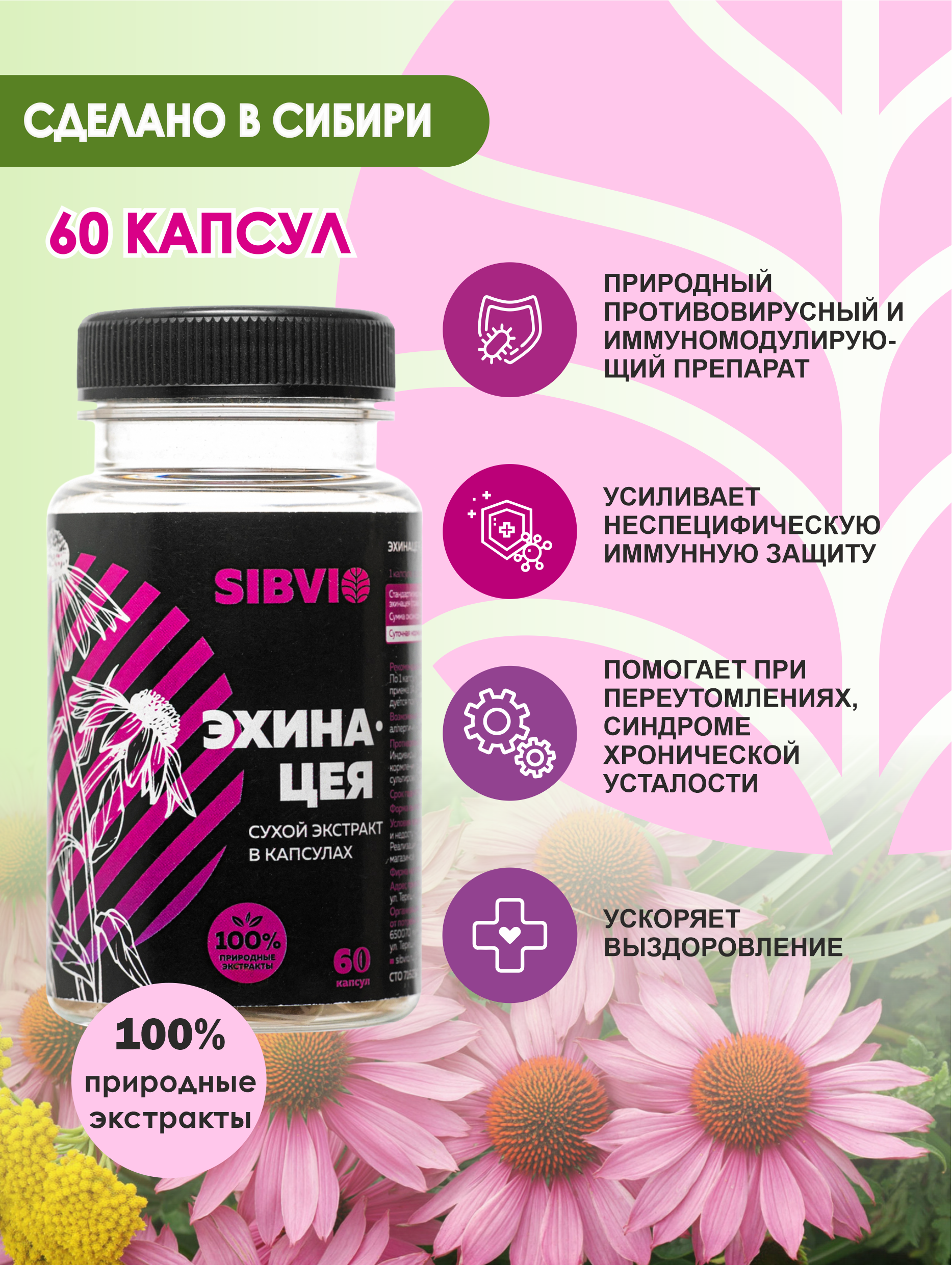 

Эхинацея экстракт SibVio 60 капсул 400 мг, Эхинацея
