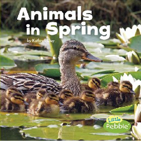 

Animals in Spring / Clay Kathryn