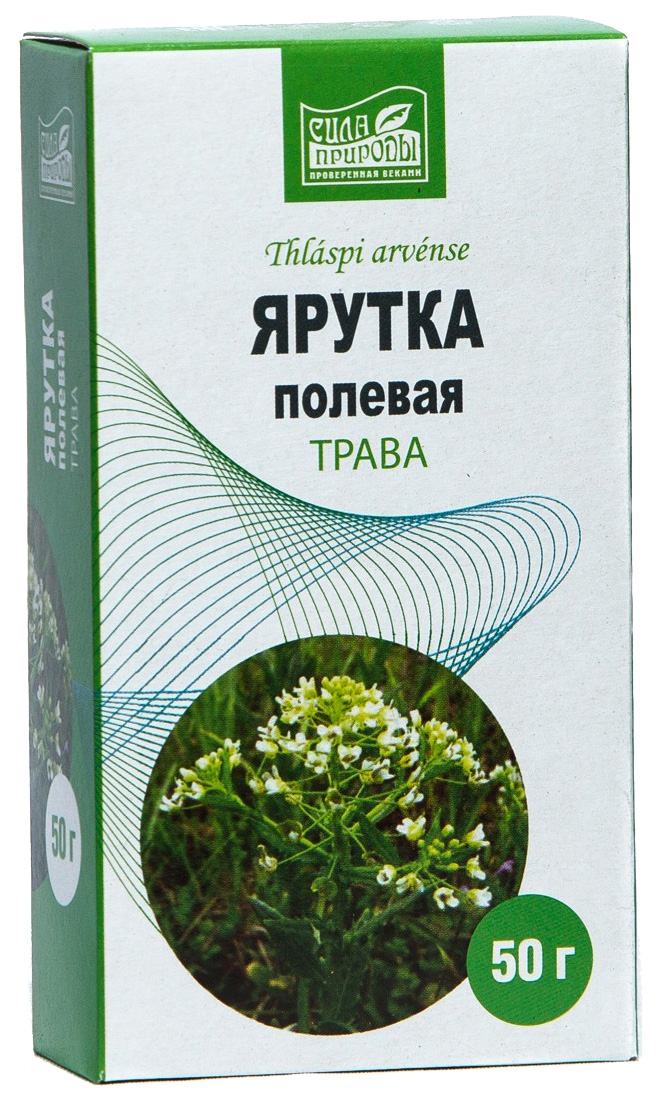 

Ярутка полевая трава 50 г Напитки Сила природы, Ярутка полевая