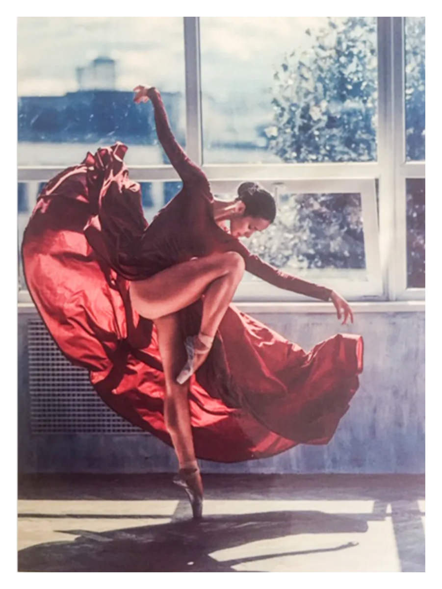 фото Алмазная мозаика, "красная балерина", 50 х 40 см. urm
