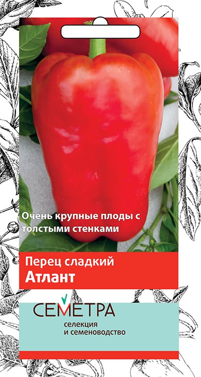 

Семена перец сладкий Поиск Атлант 1 уп.